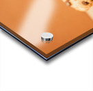 Home baked chocolate biscuits Acrylic print