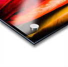 Colourful feather art Acrylic print