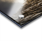 Twisted roads and dead trees Acrylic print