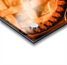 Country style baking Acrylic print