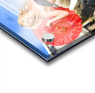 Celebreak Acrylic print