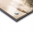 Elevated wonder Acrylic print