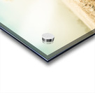 Winter road wonderland Acrylic print