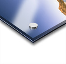 Coles Bay Tasmania Acrylic print