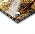 Dabble way  Acrylic print