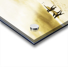 Vintage Surfing Scene Acrylic print