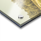 Empty curved gravel road in Tasmania Australia Acrylic print