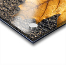 The Fall Of Autumn Acrylic print