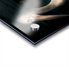 Twilight Pelican Acrylic print