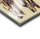 Miniature muscle Acrylic print