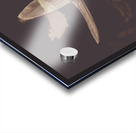 Writers guild abstract Acrylic print