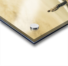 Vintage mountain dreamer Acrylic print