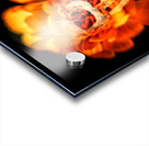 Flower skull Acrylic print