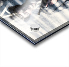 Bullet Bills urgent withdrawal Acrylic print