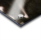 Forest Of Darkness Acrylic print