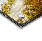 Nth Stradbroke Is. Acrylic print