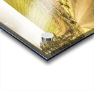 Fielded adventure Acrylic print