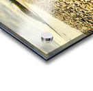 Lillico Beach Tasmania Acrylic print