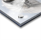 Melancholy of infinite sadness. The white vampire Acrylic print