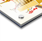 Still skating Acrylic print