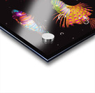 Colors of the tropic Acrylic print