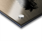 Silhouetted Acrylic print