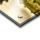 Tasmanian Country Farm Details Acrylic print