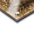 Old farmstead shack Acrylic print