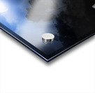 Vintage Beauty In Nature Acrylic print