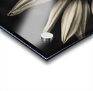 Floral elegance Acrylic print