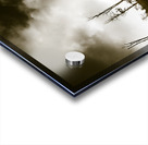 Beauty and barren bushland Acrylic print