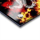 Double Dragon Acrylic print