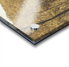 Vintage hillside Acrylic print