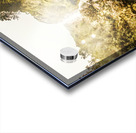 River Rush Acrylic print