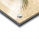 Pastel pacific Acrylic print