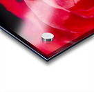 Intimate details Acrylic print