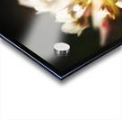 Wild darkness Acrylic print