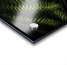 Nature in minimalism Acrylic print