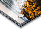 Splash of colour Acrylic print