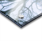 Tree of frost bite Acrylic print