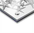 Sea staring Acrylic print