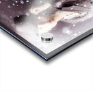 Cold War Spy Acrylic print