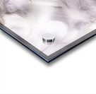 White on white Acrylic print