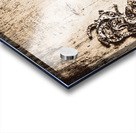 Horse Shoe U Acrylic print