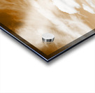 Australian Landscape Photo Of Maleny Hinterland Acrylic print