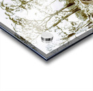 Vintage winter car wreck Acrylic print