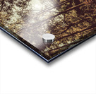 Off road trails Acrylic print