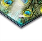 Exoticism  Acrylic print