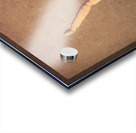 Dining in Acrylic print