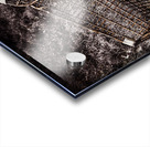 The not so great reset Acrylic print